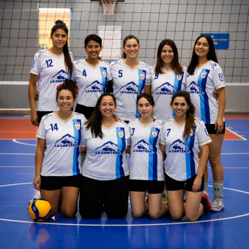 Vóleibol femenino