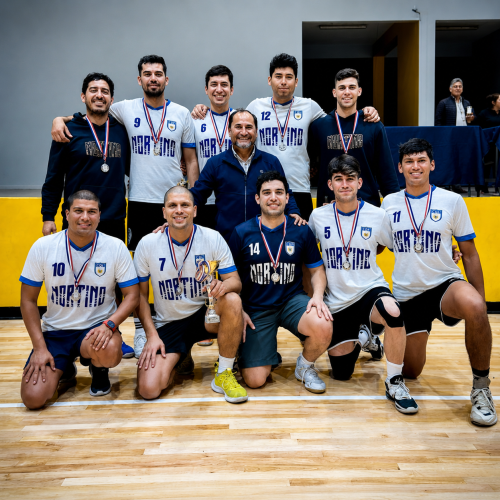 Vóleibol varones